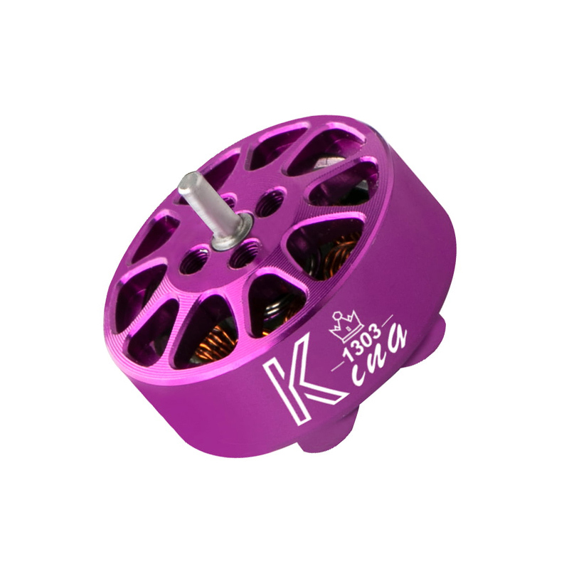 Động cơ không chổi than K1303